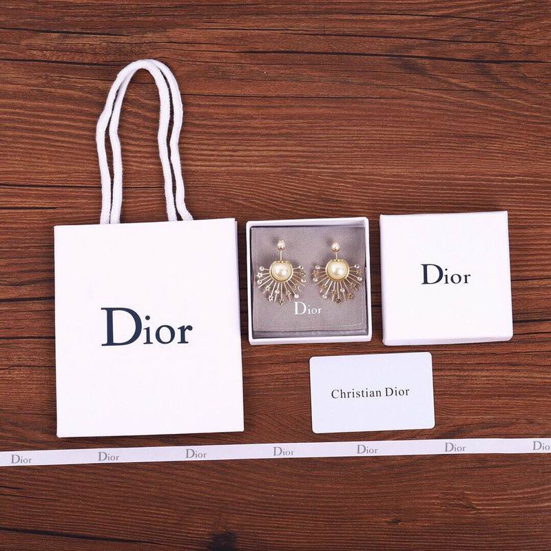Dior Earring 03lyr139